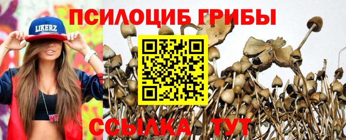 Псилоцибиновые грибы Psilocybine cubensis Орёл
